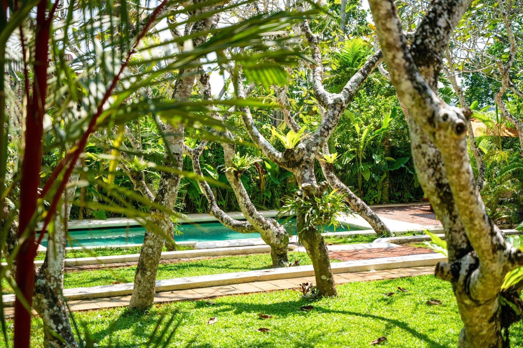 Hotel The Sun House Galle Exterior foto